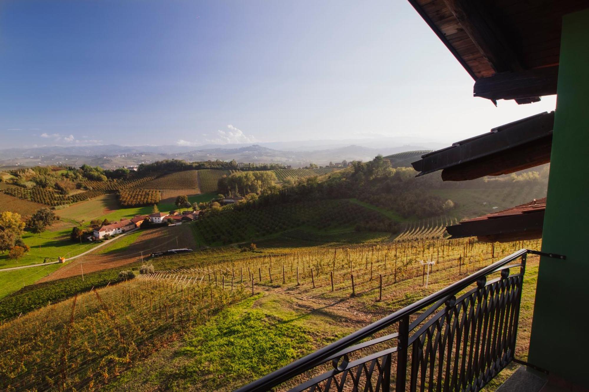Agriturismo Cascina Reggio Castelnuovo  Екстер'єр фото