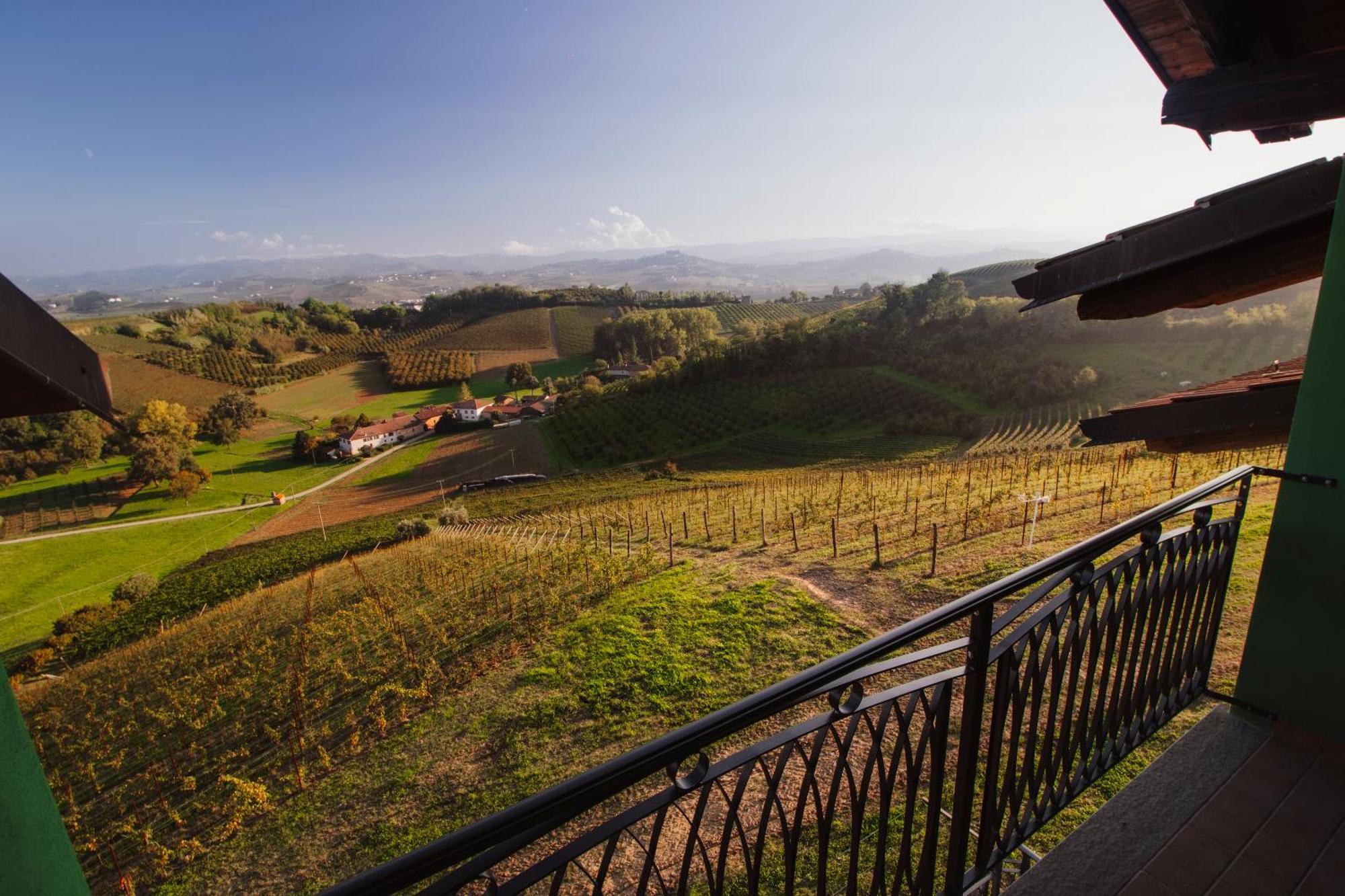 Agriturismo Cascina Reggio Castelnuovo  Екстер'єр фото